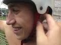 a-confederate-flag-blows-in-shreveport.html