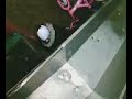Bike-slide dont go! Lol
