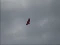 fallo helicóptero y lanzamiento rogallo