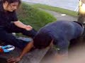 En brisas del Golf de panama tremenda borrachera