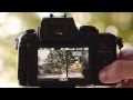 Panasonic GH2 Setup Guide