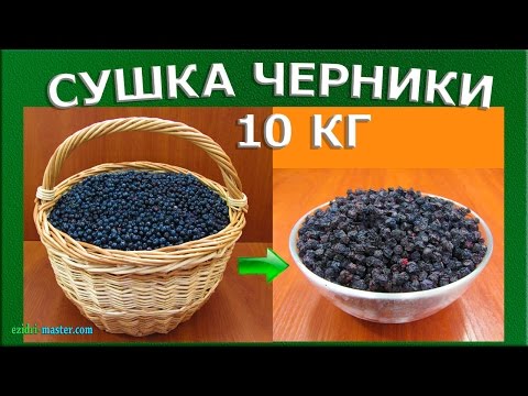 Большие декоративные цветы из бумаги Большие декоративные цветы из бумаги