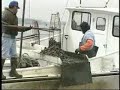 Oyster Tonging