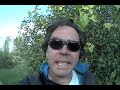Motorcycle Trip compilation 1