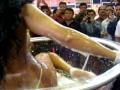 Expo sexo 2010 en Cd de Mexico Para todos los aficionados a que sea algo diferente en cada ocasion, visiten la expo, quiza te lleves una sorpresa, saludos. en el vaiven de la camara se denosta el nerviosimo de nuestro reportero Alexxx