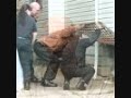 Cops Talk About Anthony Sowell Cleveland Serial Killer