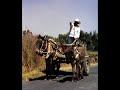 US Mexican Border - NAFTA Rep Trailer
