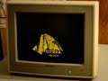 this is my 10mhz 8088 compuadd xt clone playing sierra's classic 