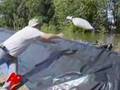 Feds: 27 Levees Could Overflow if Sandbags Fail