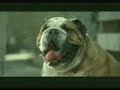 bewafa