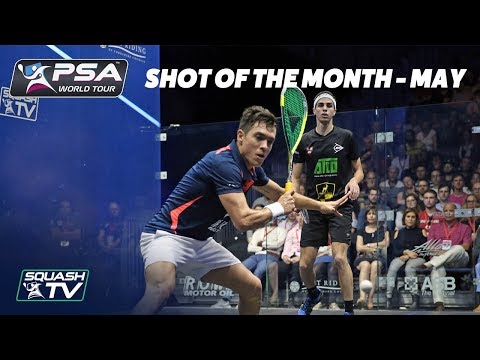 Squash: Shot of the Month - May 2018