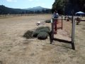 MOV04439