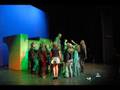 Parijs the musical