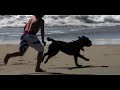 Day at the Beach