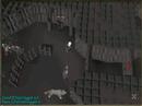 How to get a Random Event!