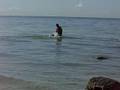 videos de Bruce na Praia