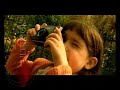Cult Book - Le canzoni di Cristina Don�