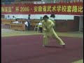 Baguazhang Chuan ??? Baguazhang Chuan ???