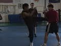 Chai Highlights