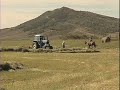 Enjoy a glimpse of Northwest Colorado's ranching lifestyle and meet a top broker that can help find your place in the real West - Steamboat Springs, Colorado.