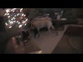 Texas Hump'em