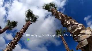 جولة في مدينة عكا | Tour in Acre City