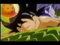 dbz vegeta/brolly