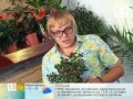 Азалия от ячменя. Народная медицина