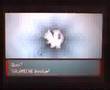 videos de Evolution de salameche shiney