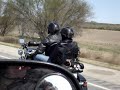 Harley Ride