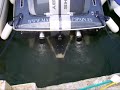 Donzi shelby (power/boat)NO MUSIC JUST SOUND