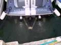 Donzi shelby (power/boat)NO MUSIC JUST SOUND