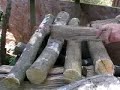 log-o-phone