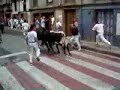 Encierro Ampuero - Año 2003 Encierro Ampuero - Año 2003