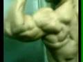 Arab-Bodybuilder