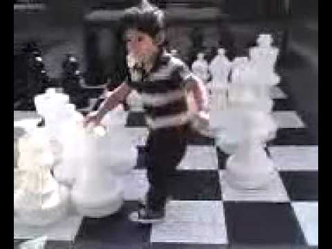 instant checkmate