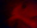 videos de that's what you get - paramore.mp4