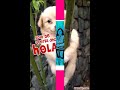 intro iclub.com