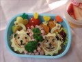 お花見弁当動画17
