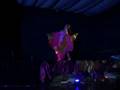 Egiptian Night con Rania Bellydance Superstars
