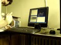 MS Keyboard + water = ? - www.blogofwishes.com