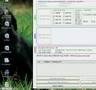 How To Make An Animated GIF ( The easy way! )