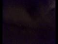 videos de Meat