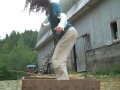 Threshing Kamut Butoh Too 8/24