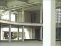 videos de TLAHUAC semillas en la construccion