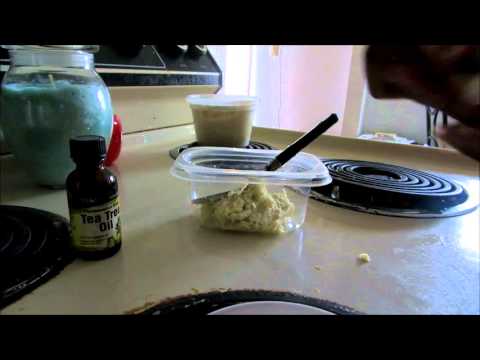 how to care sweet olive tree