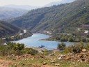 TROPOJA IME