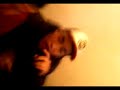fristay  ageswxan feat nacewxan