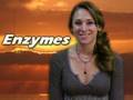 Digestive Enzymes, Nutrition and Your Health
