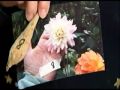 Great Gardens: Perfect gift for a gardener